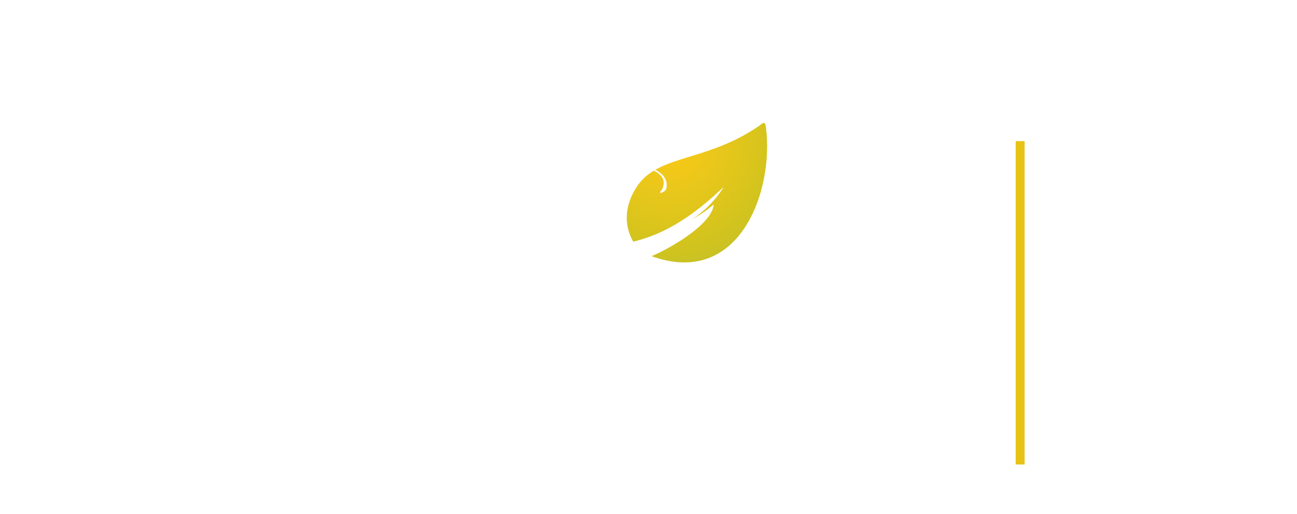 Logo Jardim Europa 2