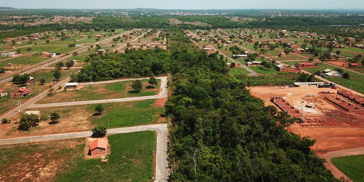 flor-do-cerrado-luzimangues3