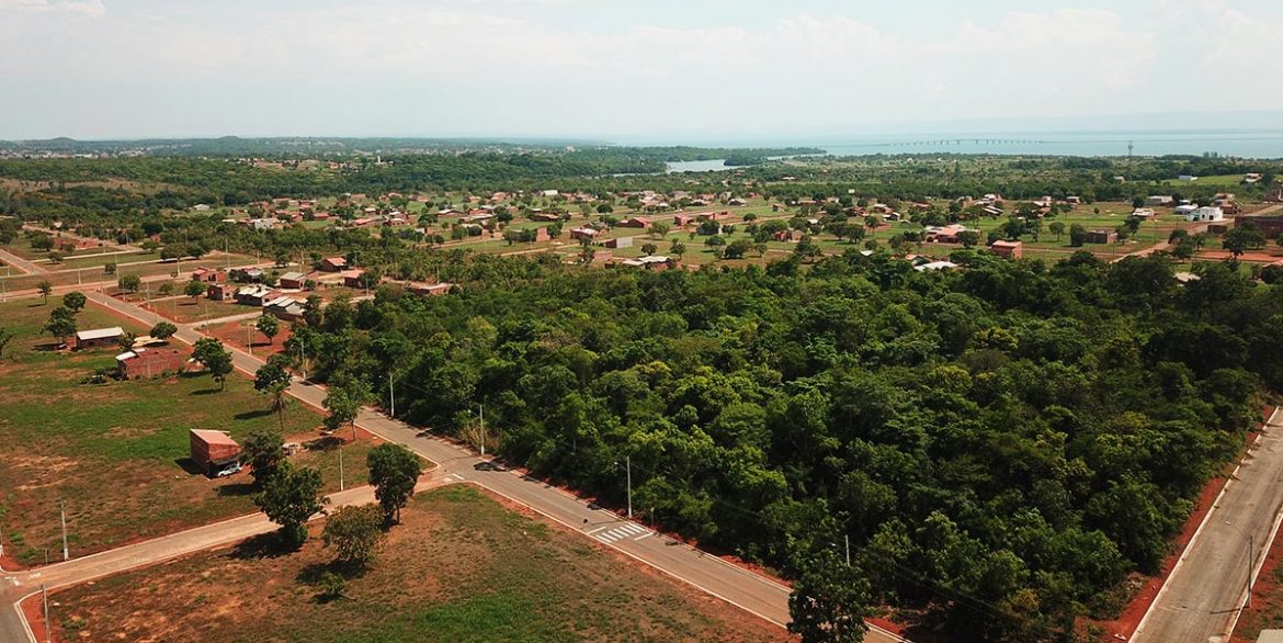 flor-do-cerrado-luzimangues5